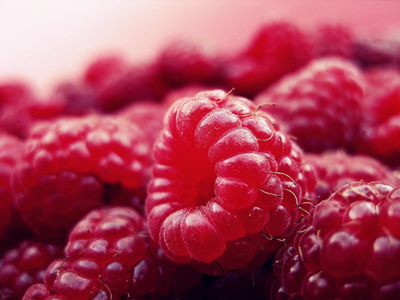 photo of red raspberries
